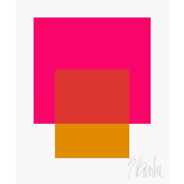 The Interaction of Deep Pink and Gold Fine Art Print 25" X 30" by Liz Roache For Sale