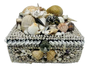 Large Vintage Shell Box, Hand Crafted