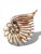 Murano Vintage Murano Nautilus Seashell Blown Art Glass Pitcher For Sale - Image 4 of 7