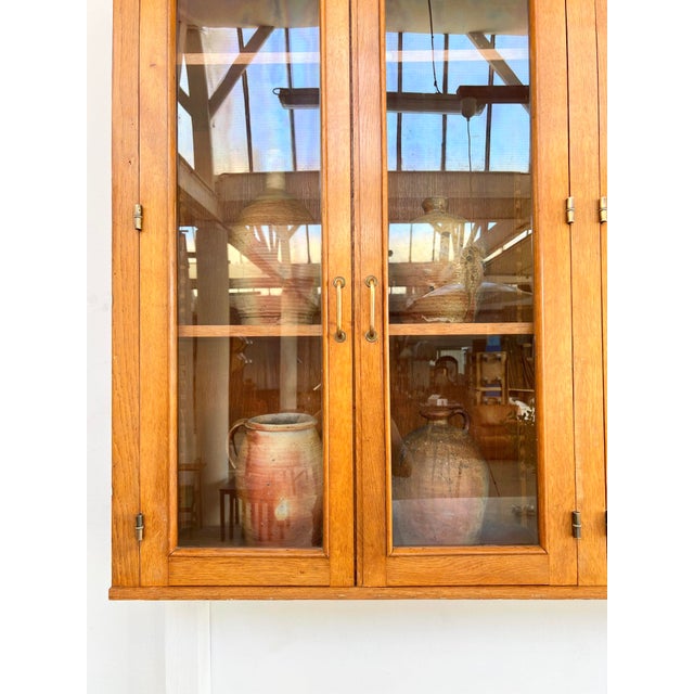 Tan Pharmacy Wall Display Cabinet, 1950s For Sale - Image 8 of 13
