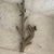 1980s Wall-Mounted Coat Rack For Sale - Image 10 of 11