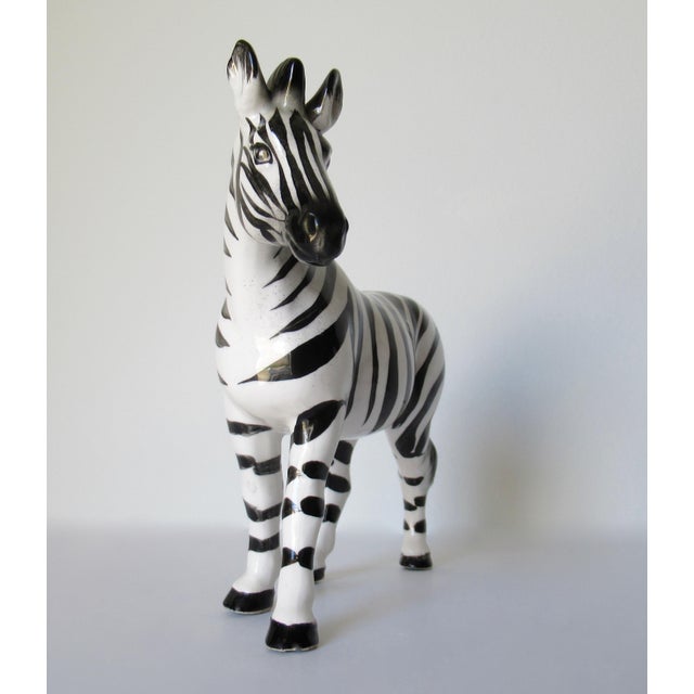 EM様御専用 ブラジリアン Lenny ZEBRA and white OP Ania AC-08 Zebra (Baby)