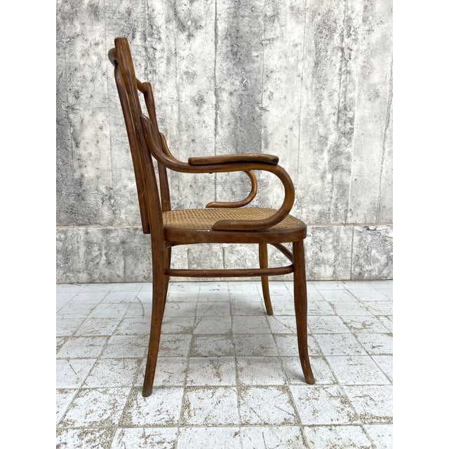 Wood French Individual Bentwood Bistro Chair Carver with Cane Seat, 1920s For Sale - Image 7 of 9