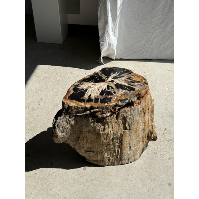 Large Side Table in Multicolored Rainbow Petrified Wood For Sale - Image 10 of 18