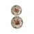 Mid-Century Modern Vintage Botanical Garden Dinner Plates - A Pair For Sale - Image 3 of 12