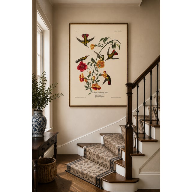 Mango Hummingbird, Museum Style Audubon Bird Print, 24" X 36" For Sale - Image 9 of 11