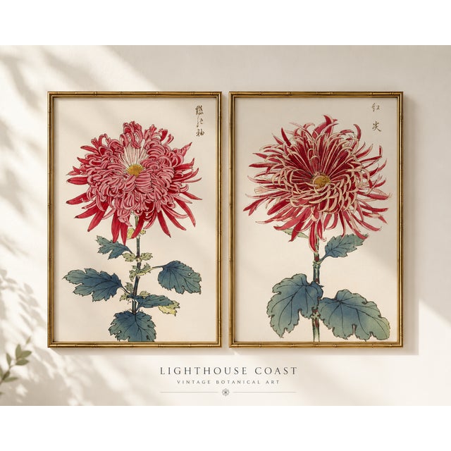 Ruby Petals Diptych – Vintage Japanese Botanical Prints (Set of 2), 40" X 60" For Sale In Buffalo - Image 6 of 9