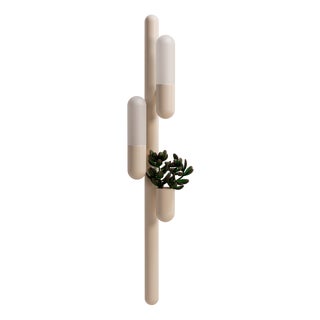 Cactus Wall Lamp by Creativemary For Sale