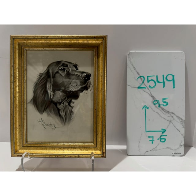 Original monochrome sporting dog portrait by American artist and illustrator Theodore E. Schrock (1879–1952). Signed and...