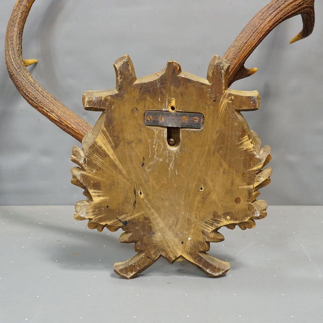 Abnorm Black Forest Red Deer Trophy on Carved Plaque Germany 1930s For Sale - Image 6 of 6