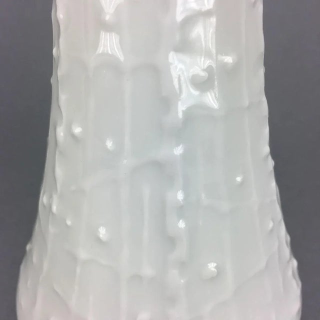 Ceramic Porcelain Vases from Royal Porzellan Bavaria KPM, 1960s, Set of 2 For Sale - Image 7 of 9