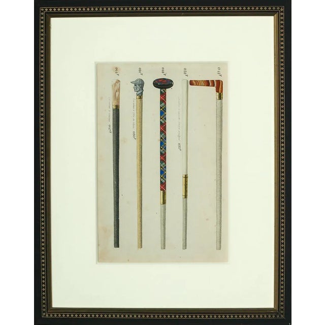 "Five Gents' French Walking Sticks" For Sale