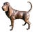 Life-Size Bronze Bloodhound Garden Statue from Christian Maas For Sale