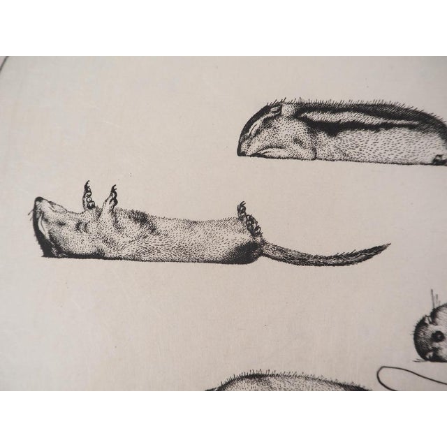 Salvador Dali, Ten Recipes for Immortality: Surrealist Composition, 1973, Etching For Sale - Image 10 of 12