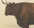 Borie, Salers Ox, French Cattle Breed, 1863, Chromolithograph For Sale - Image 4 of 9