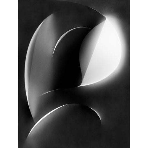 Papercut No.6' 2026 Limited edition of 20 Printed on archival Hahnemühle Photo Rag Baryta paper. Signed both front and...