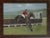 "Cheltenham Steeplechase" For Sale