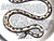 Black Fornasetti Fleming Joffe Recipe Plate, Snake a La Cleopatra For Sale - Image 8 of 8