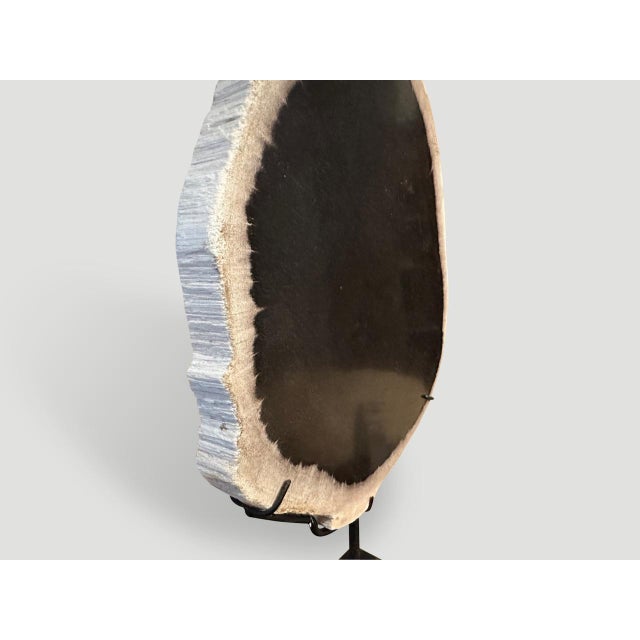 Contemporary Andrianna Shamaris Minimalist Petrified Wood on Stand For Sale - Image 3 of 5