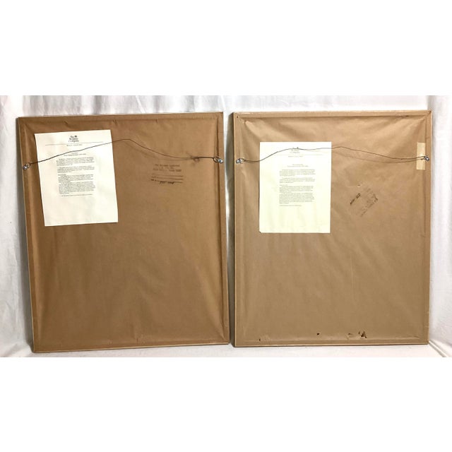 1970s 1970s Beautiful Pair of Framed Botanical Prints, Pierre-Joseph Redouté for the Bombay Company For Sale - Image 5 of 11