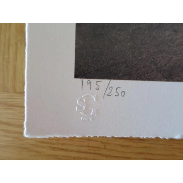 Contemporary JR - JR au Louvre, March 29, 2019, Paris, France (6:08 p.m.), Lithograph For Sale - Image 3 of 8