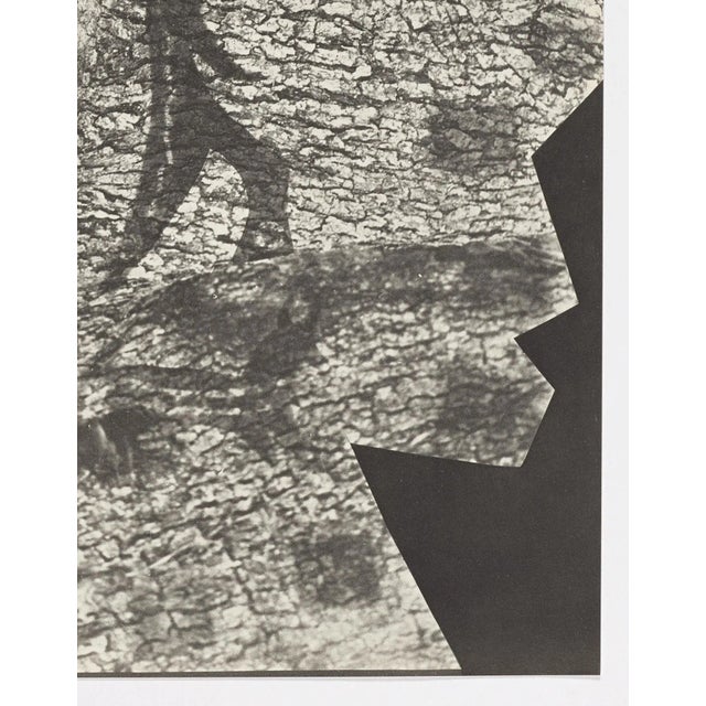 1960s Pablo Picasso, Diurnes "Le plus profond silence", 1962, offset lithograph For Sale - Image 5 of 8