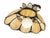 Vintage eight panel cream colored slag glass Tulip pendant light. Fixture should be replaced, it is very old wiring. A few...
