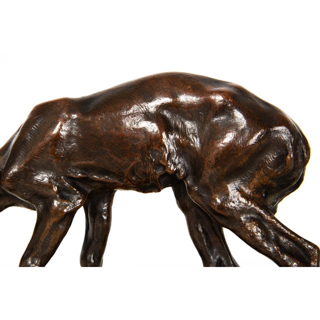 Fine American West Bronze Sculpture “Fawn” by Alexander Phimister Proctor For Sale - Image 9 of 12