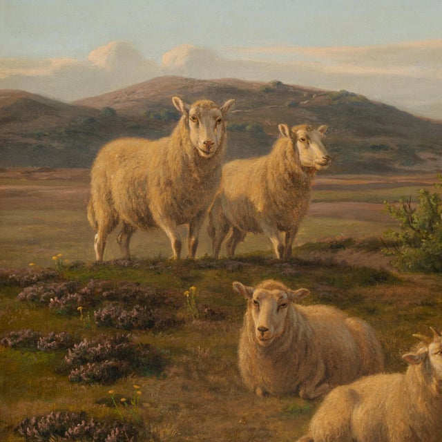 Original oil on canvas nature landscape of sheep grazing among hillside heather. Signed and dated 1886 by A.P. Madsen....