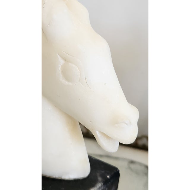 Vintage Carved Marble Horse Head Bookends, Pair For Sale - Image 10 of 18