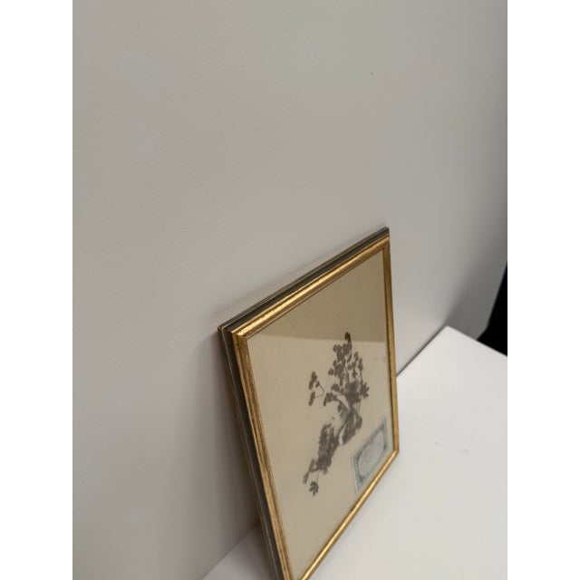 Set of Three Vintage Pressed Botanicals For Sale - Image 9 of 18