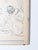 Vintage Picasso at Villa Medici Exhibition Poster, 1983 For Sale - Image 6 of 16