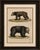 Title: antique tapir & bear zoological engraving – bertuch, c. 1800 original antique hand-colored copper engraving...