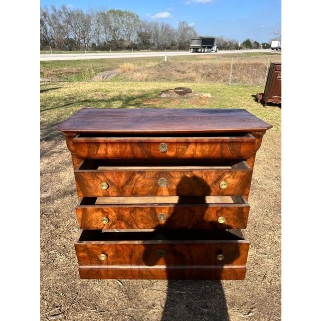 19th Century 19th Century French Louis Philippe Burl Walnut Chest of Drawer / Commodes For Sale - Image 5 of 18