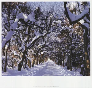 William Krammisch Linden Avenue, Germany, 2009