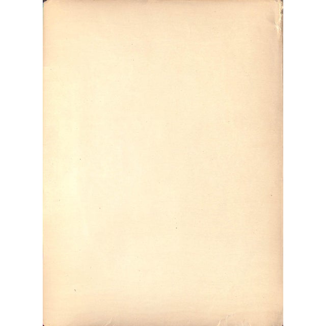 Traditional Mid 20th Century h.h. Kohlsaat by Carlo De Fornaro Reproduction Print For Sale - Image 3 of 3