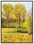 Message us to inquire about custom framing options! (Included for free with every purchase) The artwork here, "Afternoon...