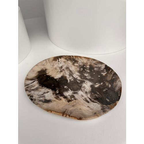 Very Large Vide-Poche or Dish in Petrified Wood For Sale - Image 13 of 18
