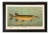 American Fish 33 the Unspotted Mascalonge by Harris CFA Edition Giclee Print For Sale