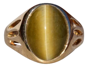 The Tionaga: Gentlemen's Signed Gemsco Tigers Eye Ring in Yellow Gold