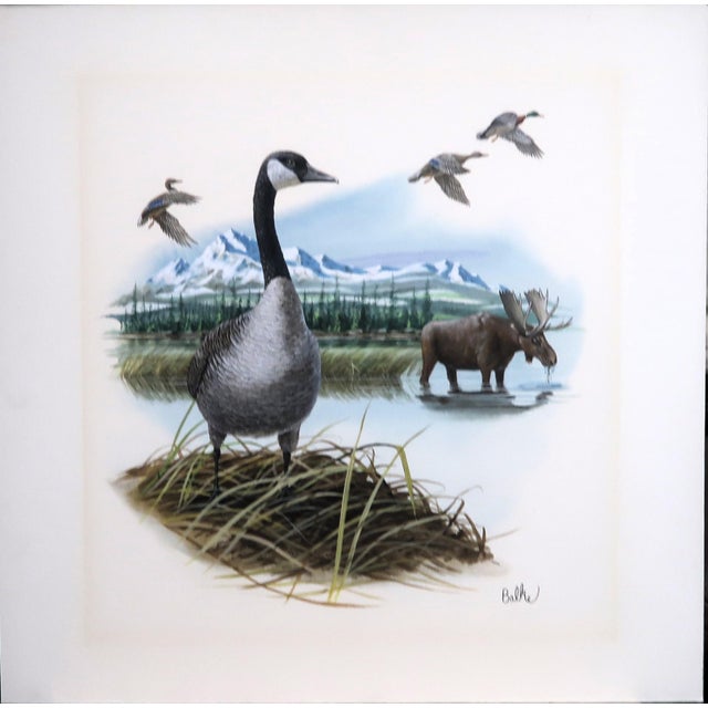 Don Balke (American B. 1933) - "Canada Goose and the Moose" - Original Signed Watercolor That Had Been Published in 1978. For Sale - Image 4 of 12