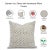 Textile Fabdivine Block Print Decorative Throw Pillow Cover 20x20 Inch Handcrafted Accent Pillow- Alia For Sale - Image 7 of 7