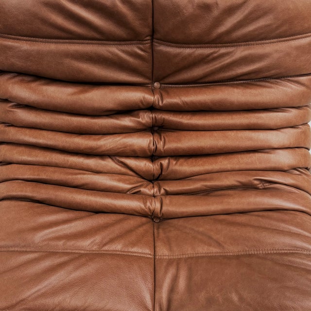 Vintage Togo Lounge Chair in Cognac Leather by Michel Ducaroy for Ligne Roset For Sale - Image 11 of 12