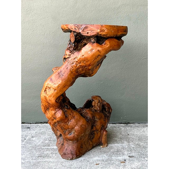 Vintage Japanese Twisted Root Pedestal For Sale - Image 11 of 12