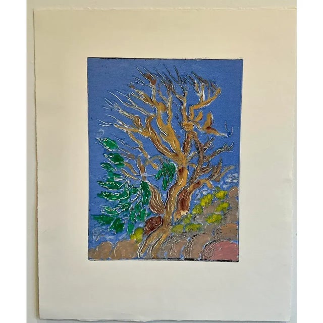 Cornflower Blue Vintage Arnold Grossman Monoprint - Ancient Bristlecone Pine Tree, C. 1970s For Sale - Image 8 of 8