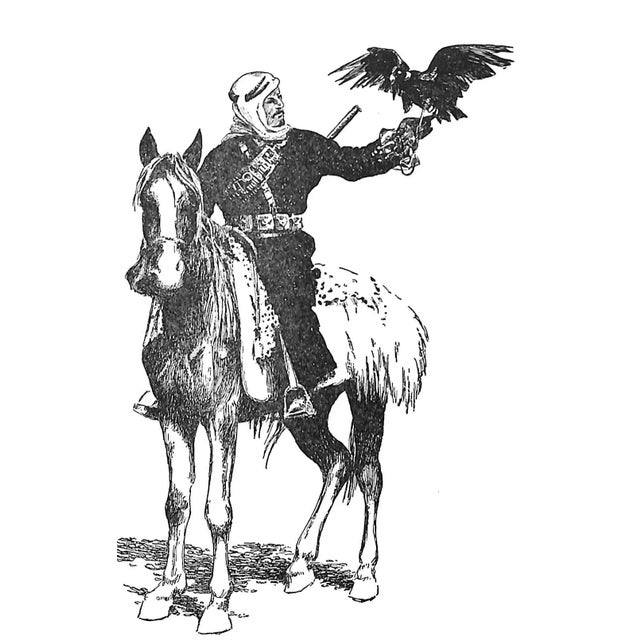 "The History and Romance of the Horse" 1941 Vernon, Arthur For Sale - Image 11 of 15