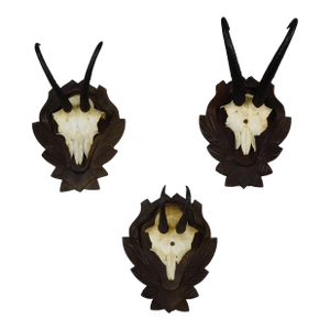Set of Three Vintage Chamois Trophies on Carved Plaques, Germany