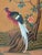 Hand Painted Chinoiserie Wallpaper Mural on Tea Paper, Set of 6 Panels, Luxury Botanical Wall Art For Sale - Image 4 of 4