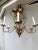 English Giltiron Coronet Chandelier For Sale - Image 12 of 12