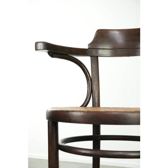 Vintage Webbing Armchair in Curved Wood For Sale - Image 12 of 13